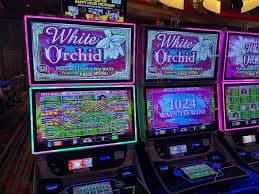Tennis match odds display on qq288 platform